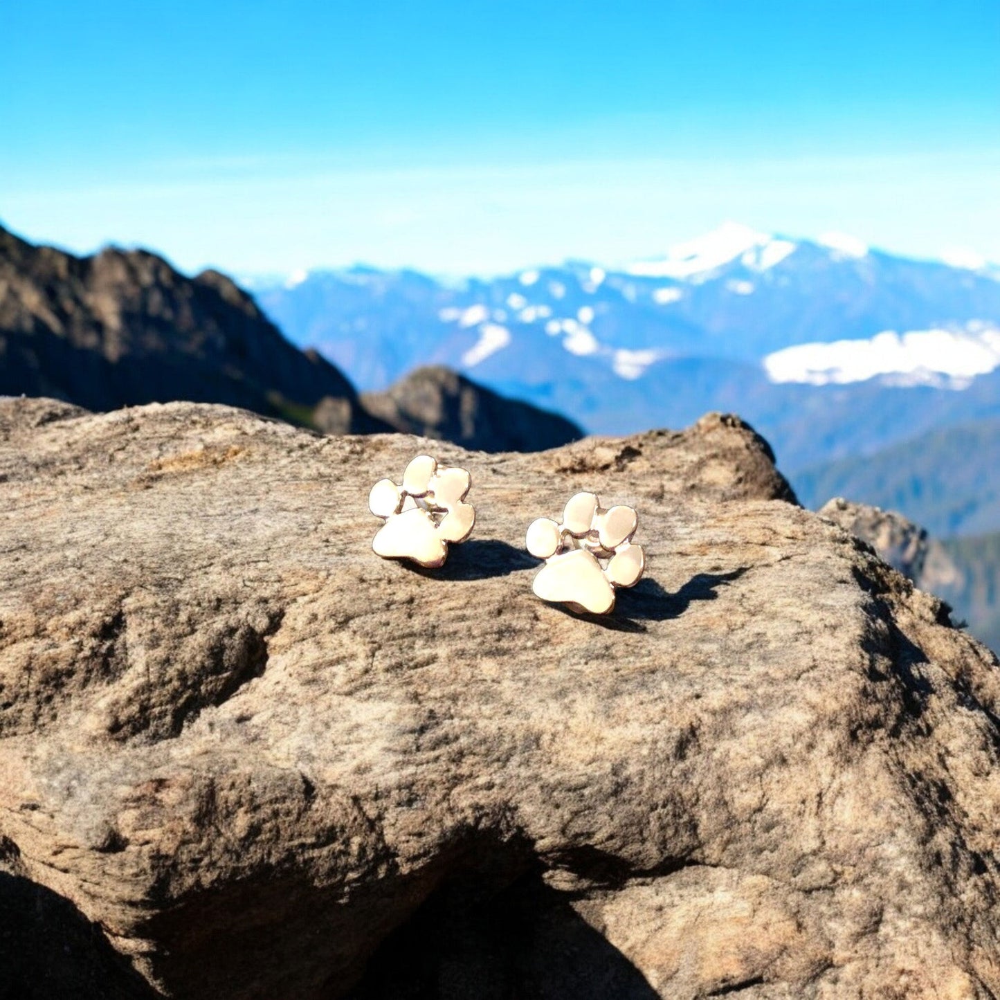 LINAI – Elegante hypoallergene Pfoten-Ohrringe aus Edelstahl für jeden Anlass